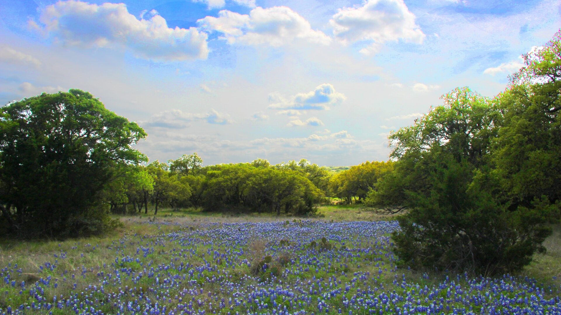 Texas hill country